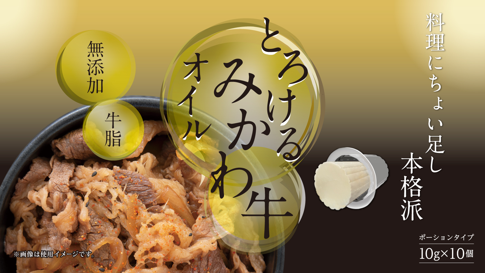mikawa.jpg